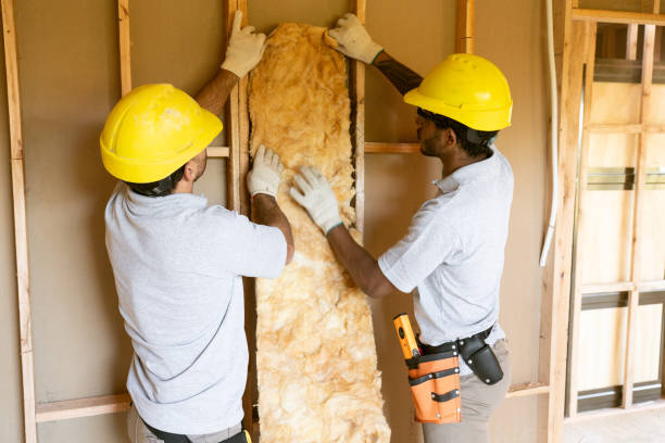 Best Commercial Insulation Services  in Sterling, AK